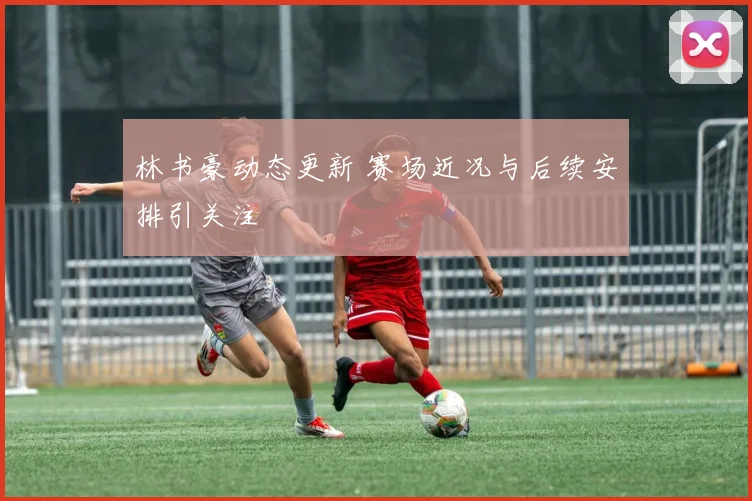 林书豪动态更新 赛场近况与后续安排引关注