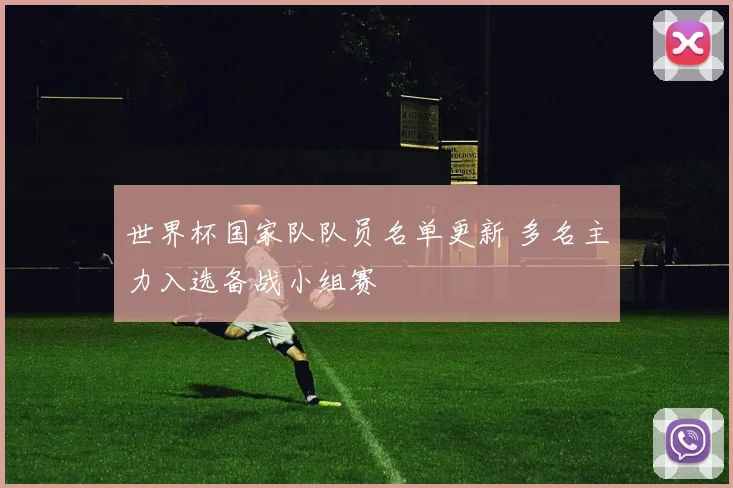 世界杯国家队队员名单更新 多名主力入选备战小组赛