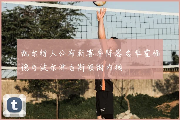 凯尔特人公布新赛季阵容名单霍福德与波尔津吉斯领衔内线