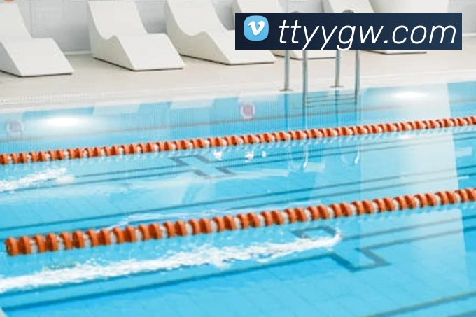 新爱体育app官网平台生态图