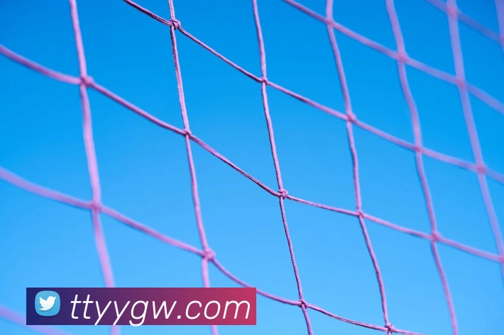 辅助工具 辅助工具